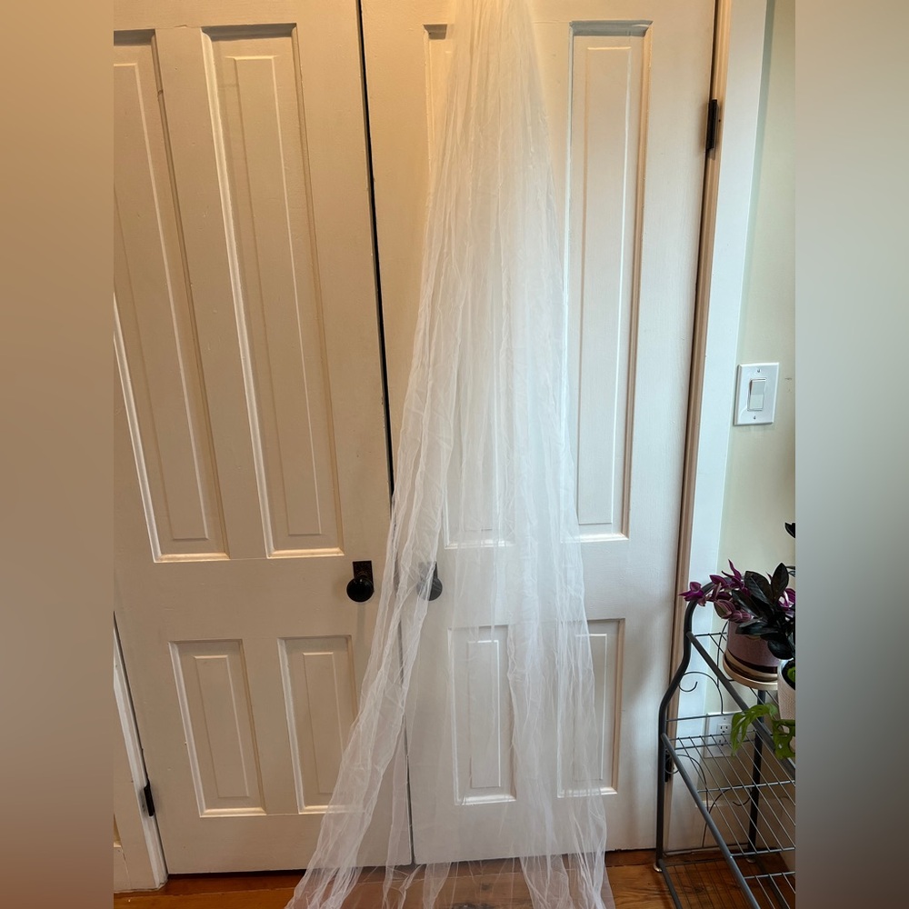 Cathedral length veil